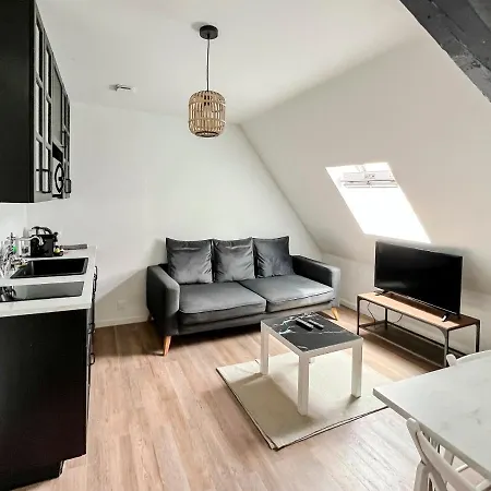 Apartment Tournelles Vue Cathedrale- Maison Climatisee Du Xvie Siecle Classee Reims