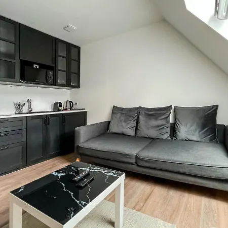 Tournelles Vue Cathedrale-maison Du Xvie Siècle Classé Appartement Reims