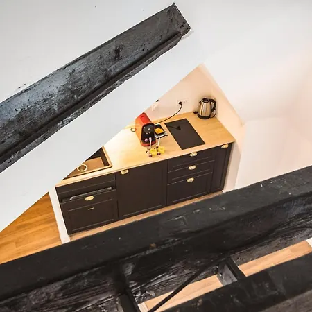 Appartement Tournelles Vue Cathedrale-maison Du Xvie Siècle Classé