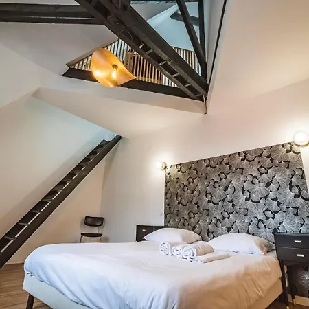 Appartement Tournelles Vue Cathedrale-maison Du Xvie Siècle Classé Reims