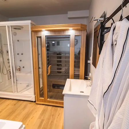 Appartement Tournelles Vue Cathedrale-maison Du Xvie Siècle Classé Reims