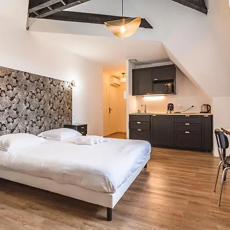 Apartment Tournelles Vue Cathedrale- Maison Climatisee Du Xvie Siecle Classee Reims