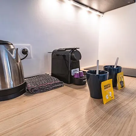 Tournelles Vue Cathedrale-maison Du Xvie Siècle Classé Appartement