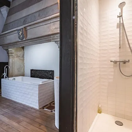 Apartment Tournelles Vue Cathedrale- Maison Climatisee Du Xvie Siecle Classee *