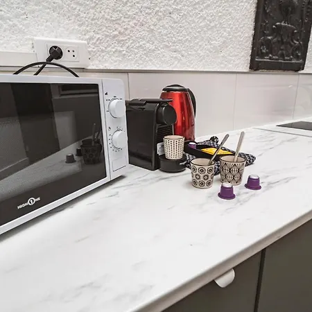 Tournelles Vue Cathedrale-maison Du Xvie Siècle Classé Appartement Reims